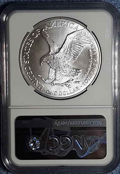 G-L-B-49's-American-Silver-Eagle-Collection