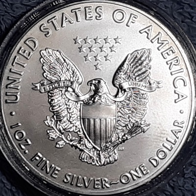 G-L-B-49's-American-Silver-Eagle-Collection