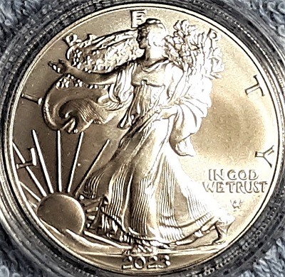 G-L-B-49's-American-Silver-Eagle-Collection