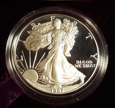 G-L-B-49's-American-Silver-Eagle-Collection