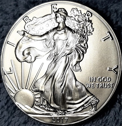 G-L-B-49's-American-Silver-Eagle-Collection