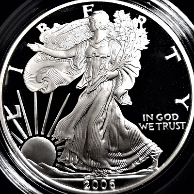 G-L-B-49's-American-Silver-Eagle-Collection