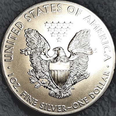 G-L-B-49's-American-Silver-Eagle-Collection