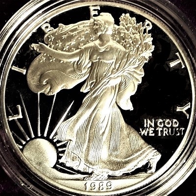 G-L-B-49's-American-Silver-Eagle-Collection