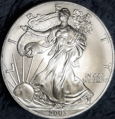G-L-B-49's-American-Silver-Eagle-Collection