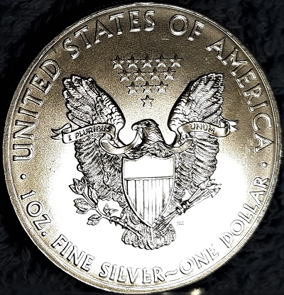G-L-B-49's-American-Silver-Eagle-Collection