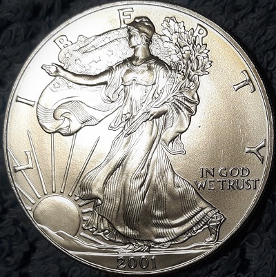 G-L-B-49's-American-Silver-Eagle-Collection