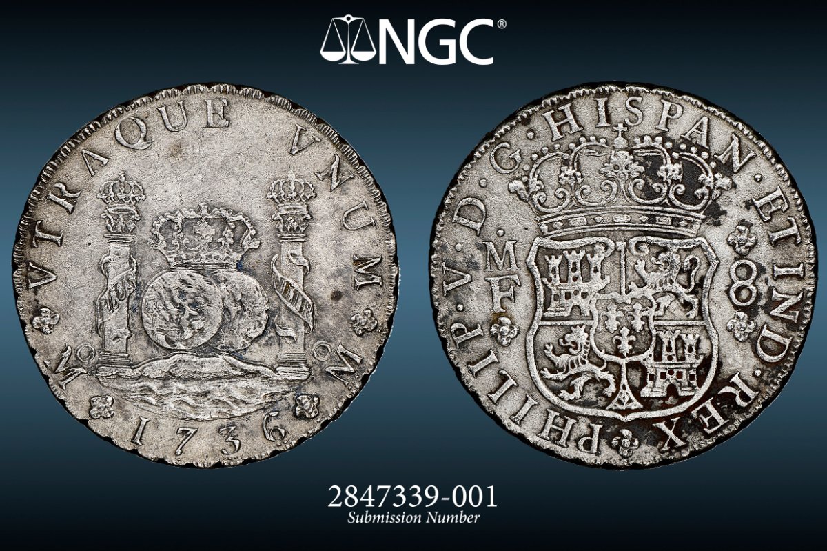 1747-8-Reale-Authentication-Assistance-Needed