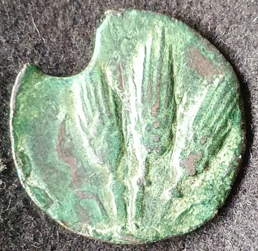 Id'd---3-Grain-Ears-/-Isis-Mauretania-Iol-�s,-3/2c-Bc