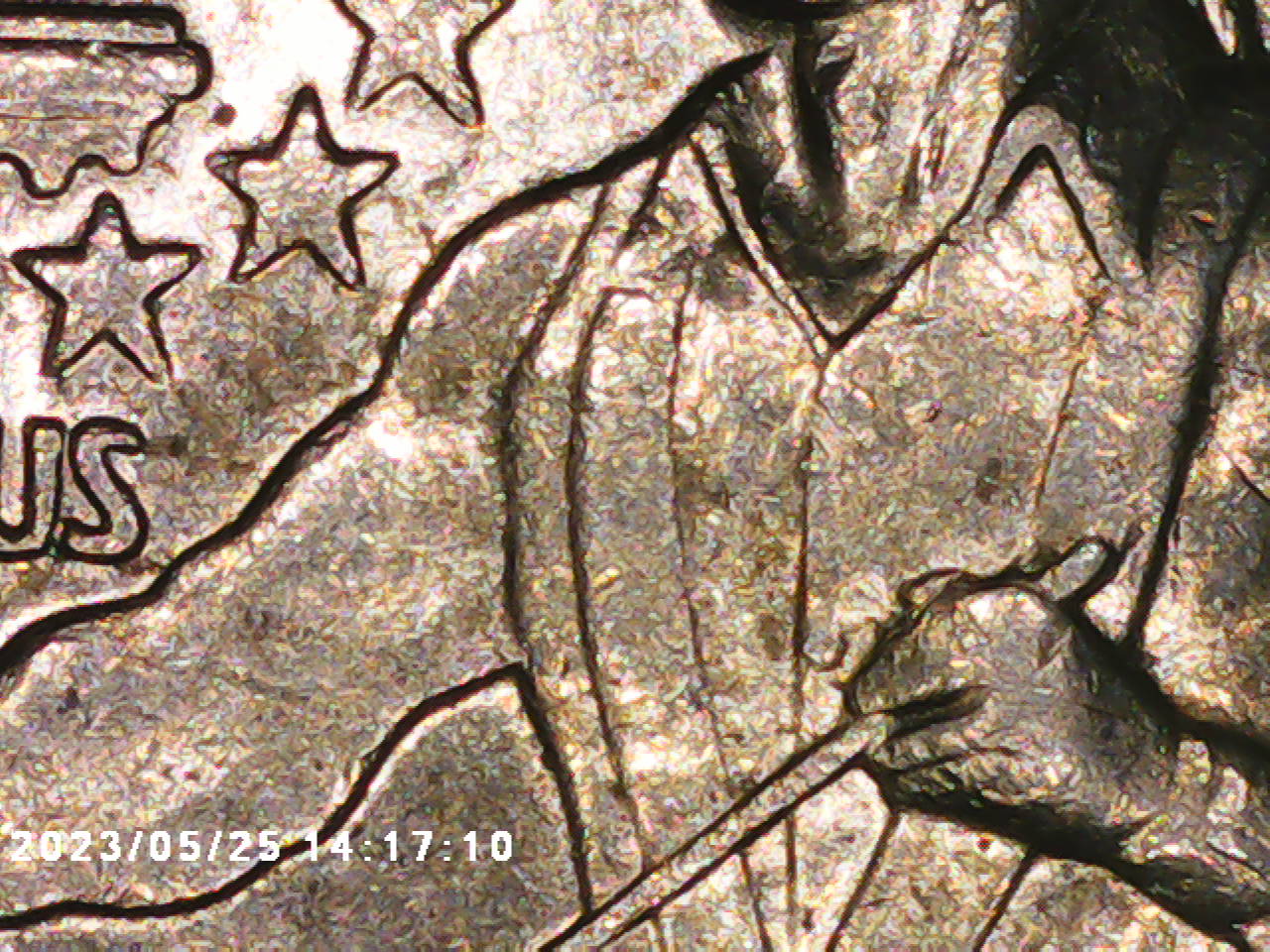 Fused-Fingers-On-A-Bicentennial-Quarter-1976-D