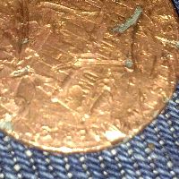 Please-Tell-Me-If-This-Cent-Is-Anything-Special?