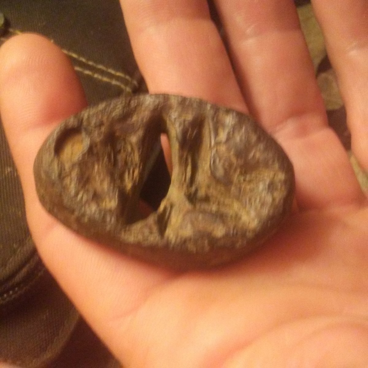 Is-This-A-Seal?-Found-By-Creek-Bed-In-Thompsonville-Illinois-Its-Not-Magnet