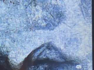 1943-P-Nickel-Double-Eye-Error