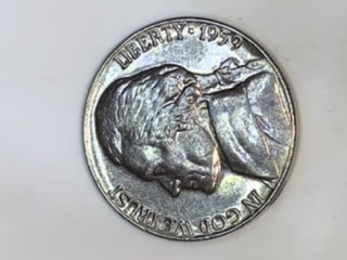 1959-Nickel-Black-Beauty-I'm-Praying-It-A-Good-One-😆