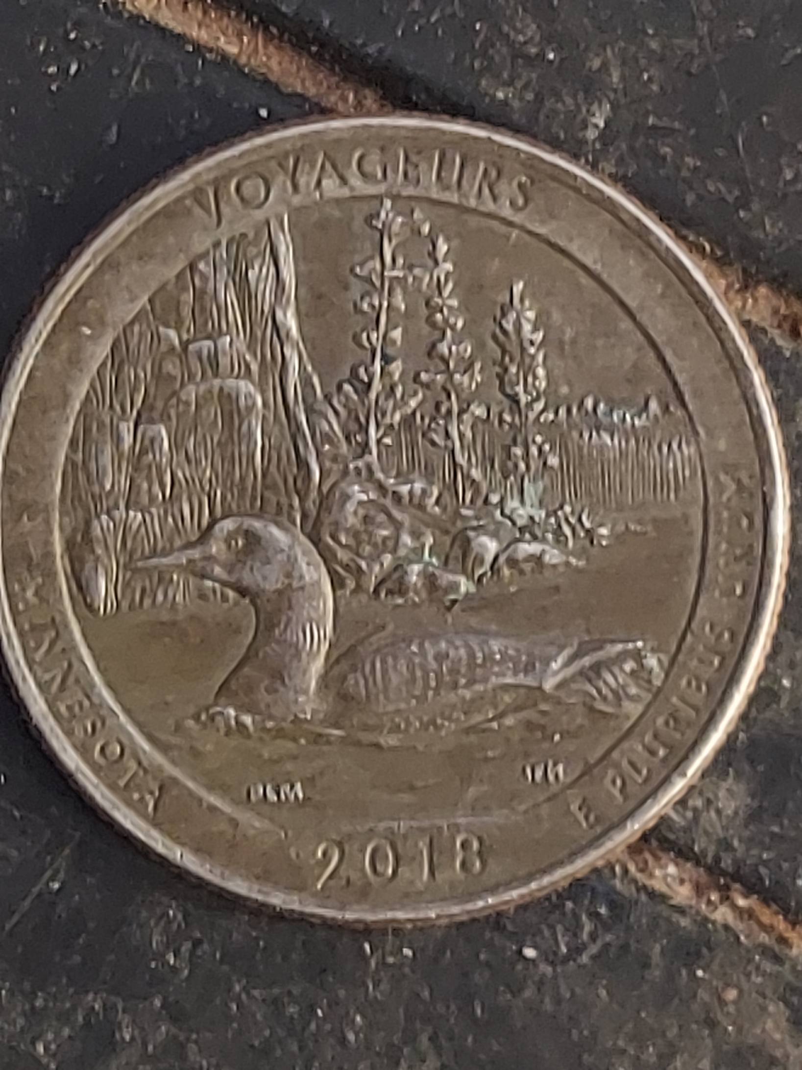 2018-Voyageurs-Quarter