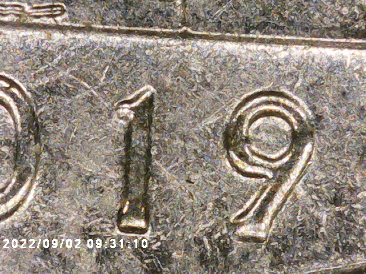 2019-Memorial-Park,-With-More-Than-Machine-Doubling?