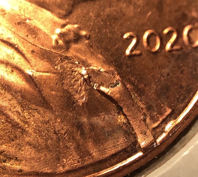 2020-Pre-Cud-Shield-Cent