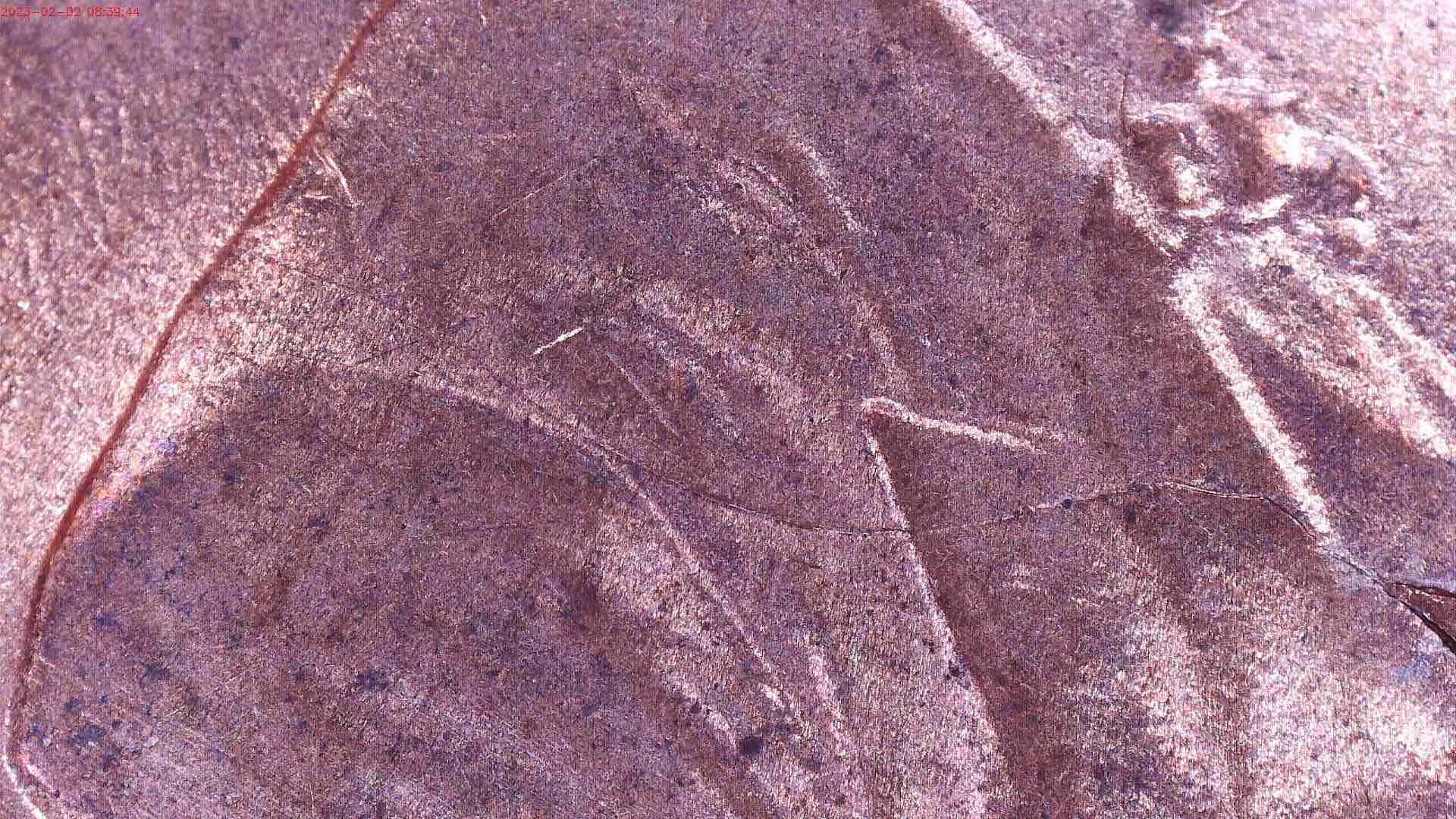 2017-P-Lincoln-Shield-Cent-Pre-Cud-Die-Crack?