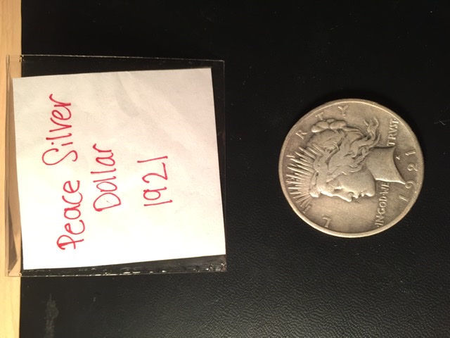 What-Grade?-1921-Peace-Type-Dollar