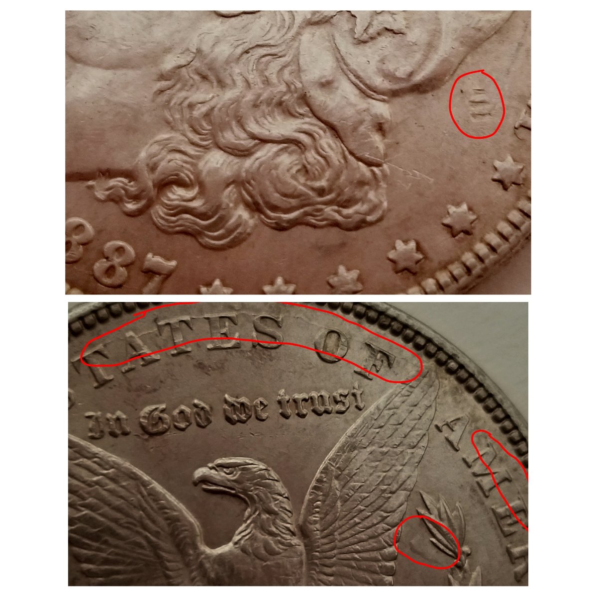 1887-Silver-Dollar....possible-Error?