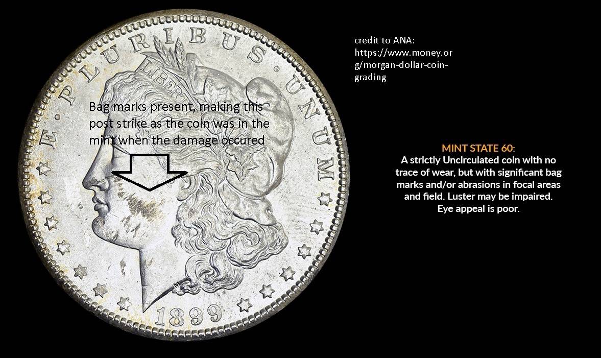 Terminology:-Post-Strike-Vs-Post-Mint-Damage
