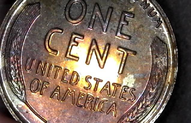Help-With-1941-LWC-Proof-Conservation