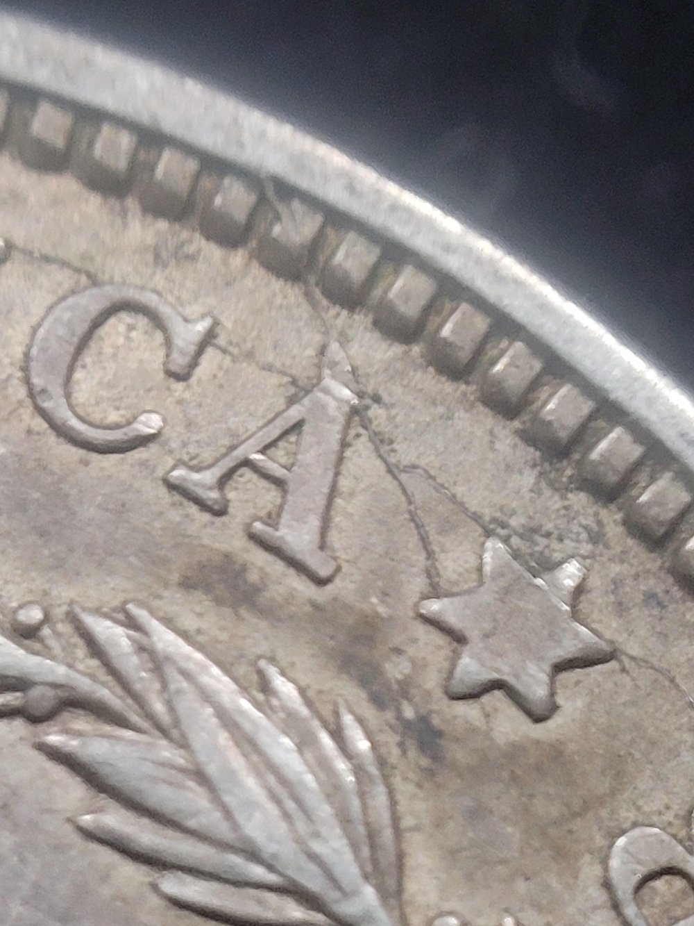 1921-Morgan-Dollar-VAM-32[b]-Discovery-Coin-Same-As-32A-But-With-Rim-Cuds