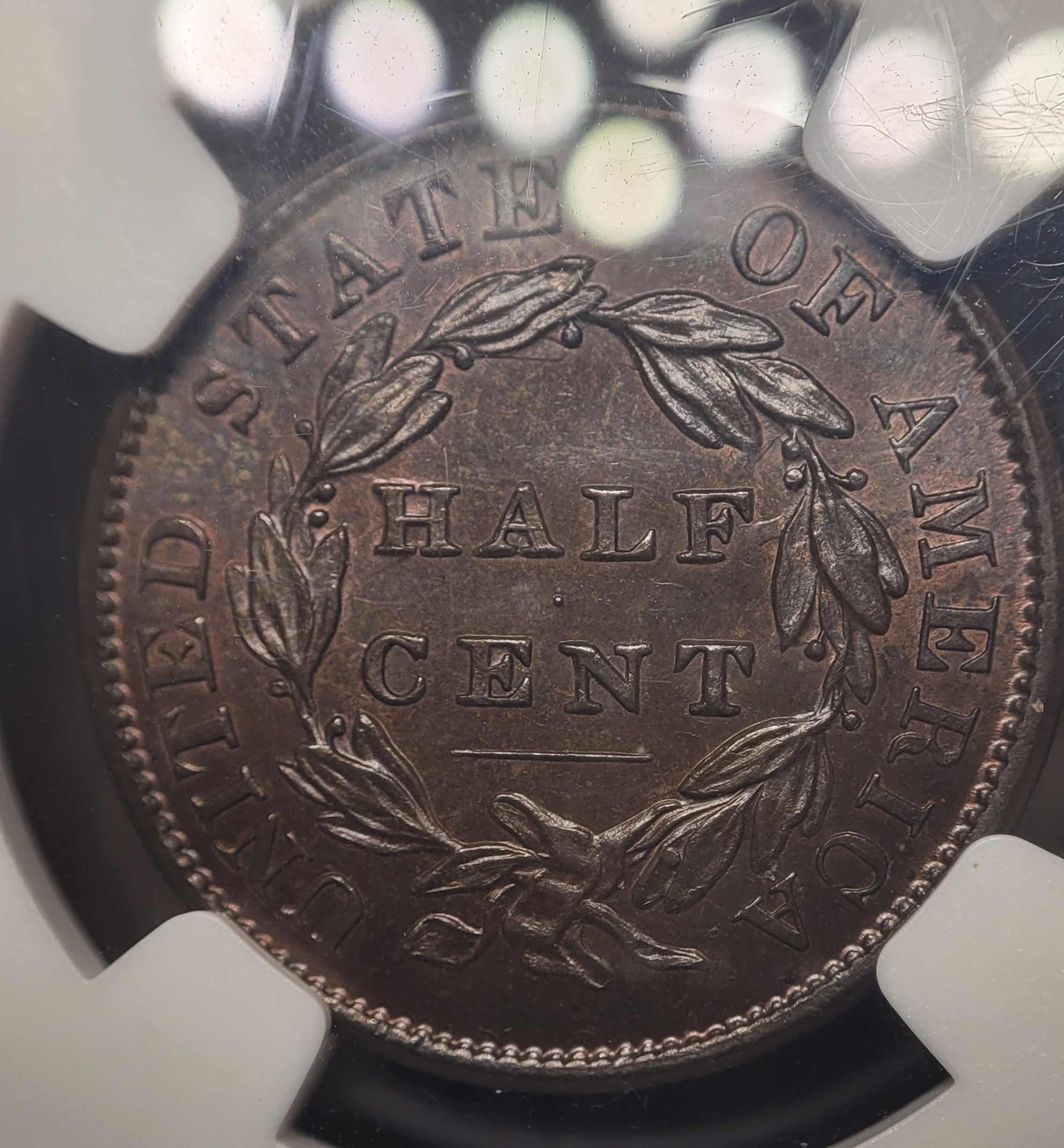 ANA-Newp-#2:-1833-Classic-Head-Half-Cent-NGC-MS-64BN