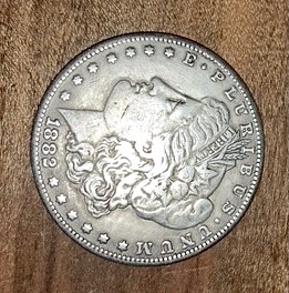 How-Do-You-All-Recognize-A-Fake-Morgans?