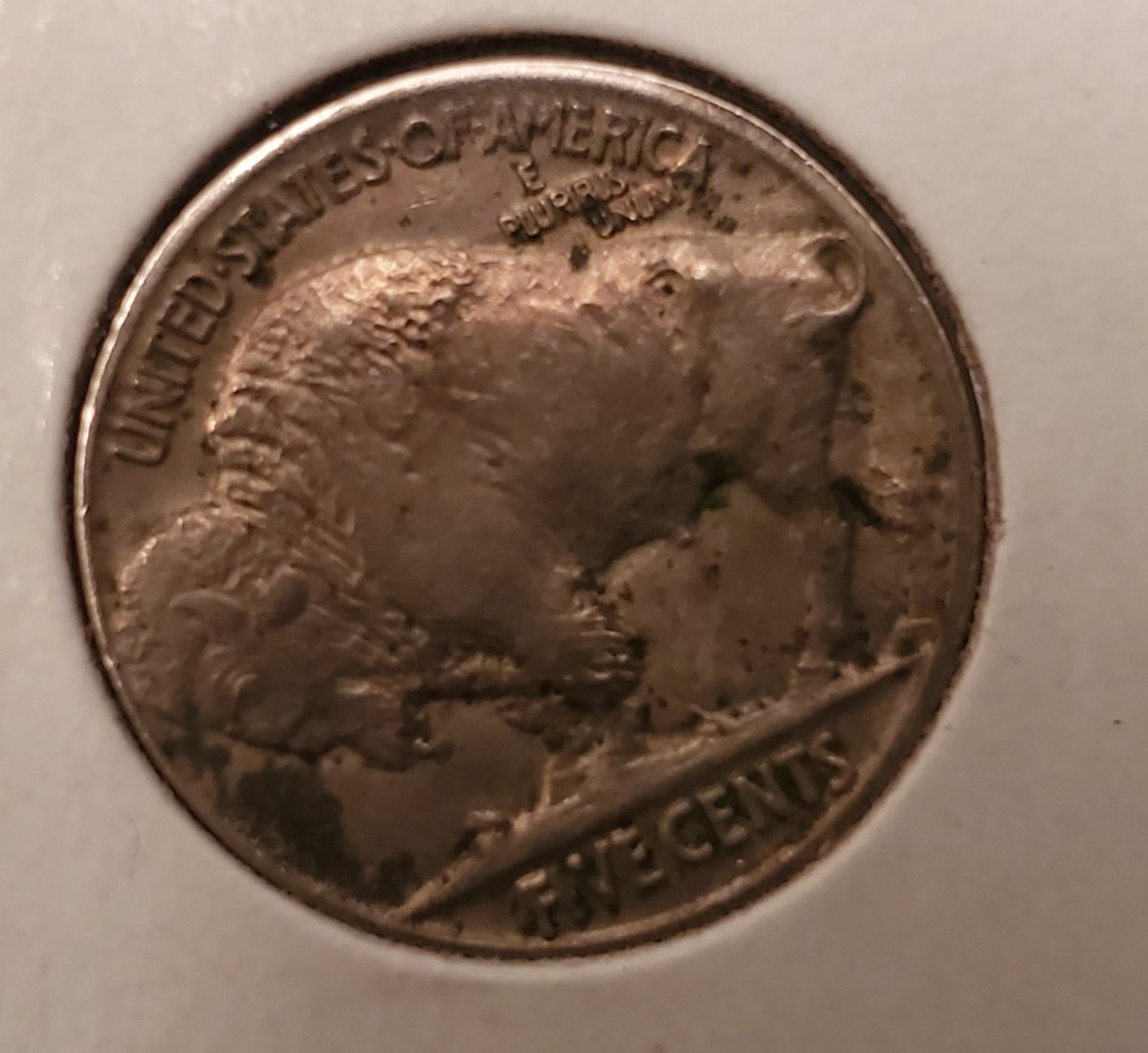 For-Grading,-1915-P-Buffalo-Nickel,-Bank-Roll-Find.