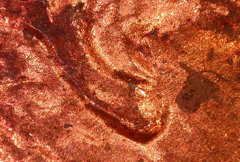 1984-DDO-002,-Plus-1984-DDR-002-.....and-Verdigris