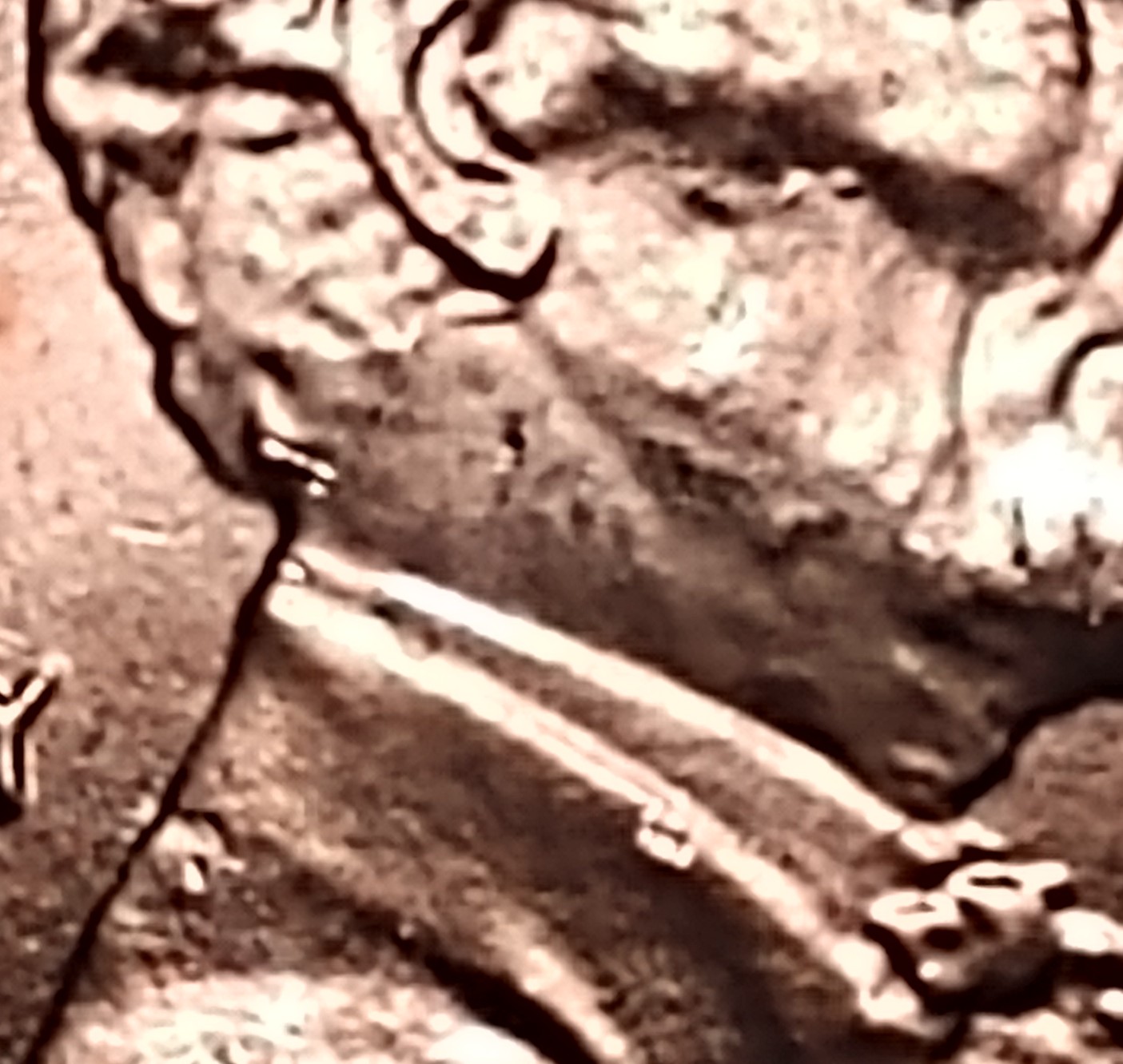 2019-P-Cent-Possible-DDO?