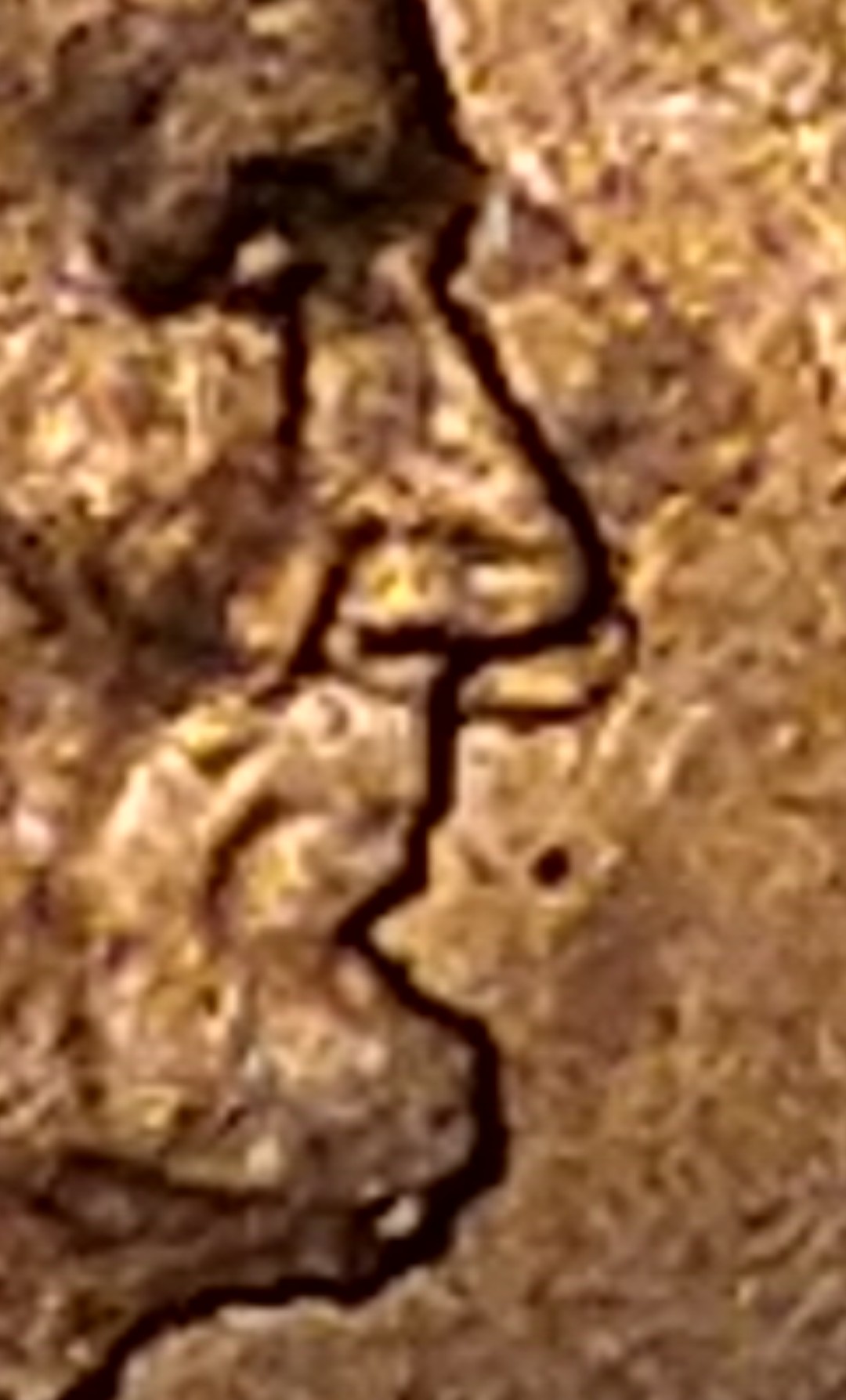 2017-P-Lincoln-Cent-DDO?