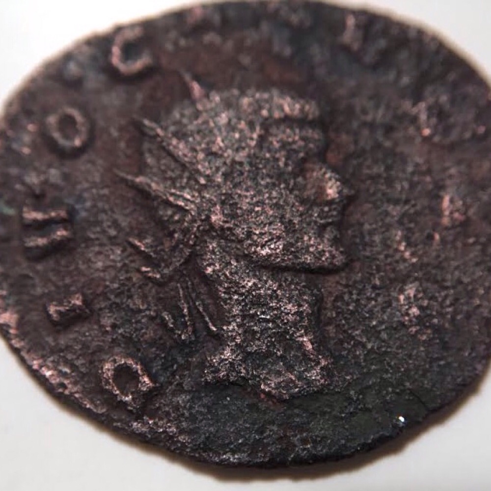 Need-Help-With-An-ID-For-This-Corroded-Emperor
