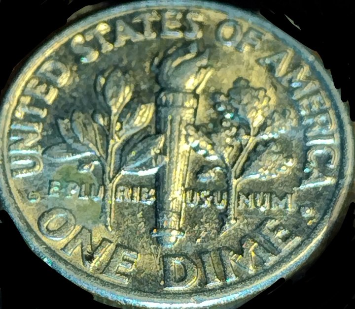 Lines-Of-Torch-Through-Leaf-1994-Dime