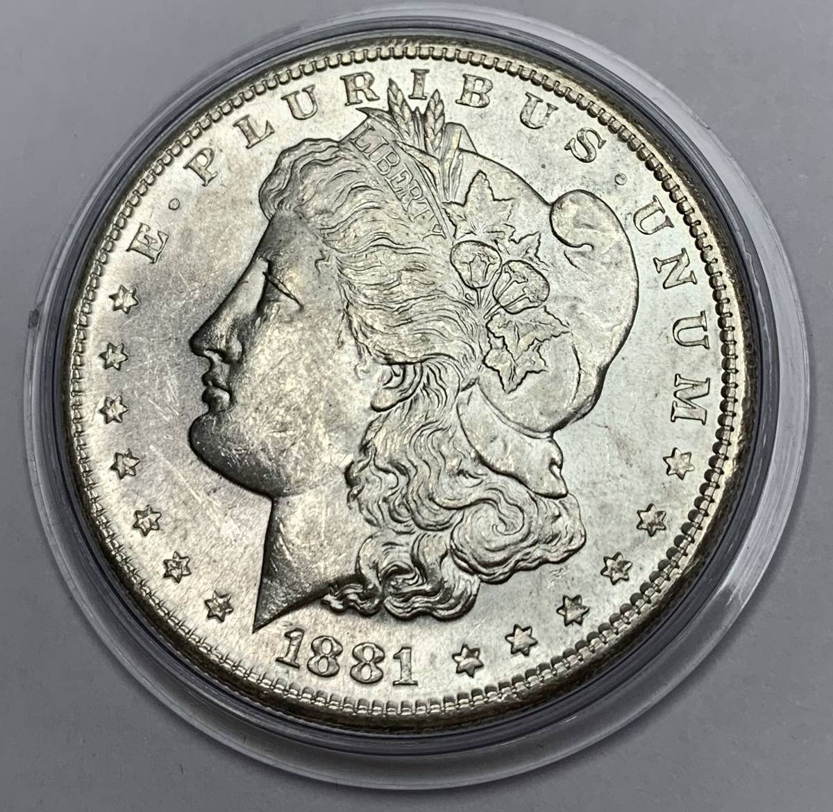 Help-Grading-My-Coins:-No.-9---Morgan-Dollar-1881---S