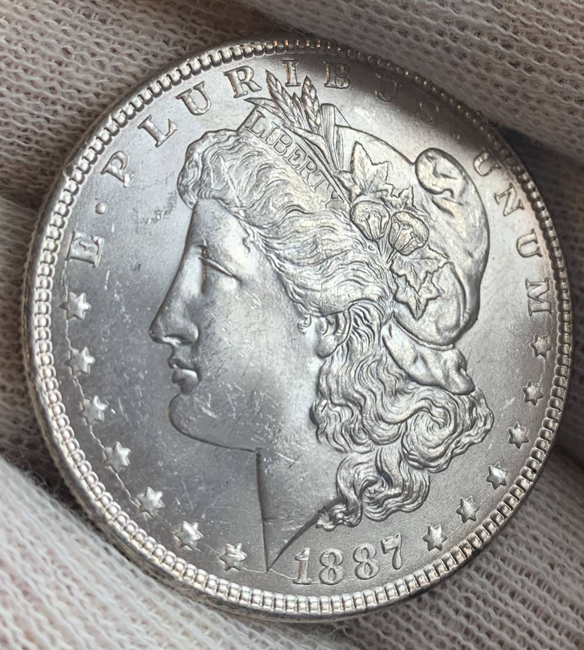 Grade-My-1887-P-Morgan-Dollar!