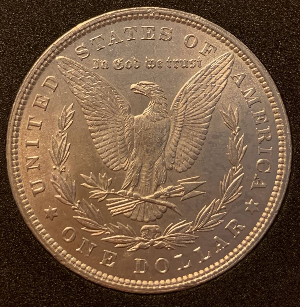 Grade-My-1879-P-Morgan-Dollar