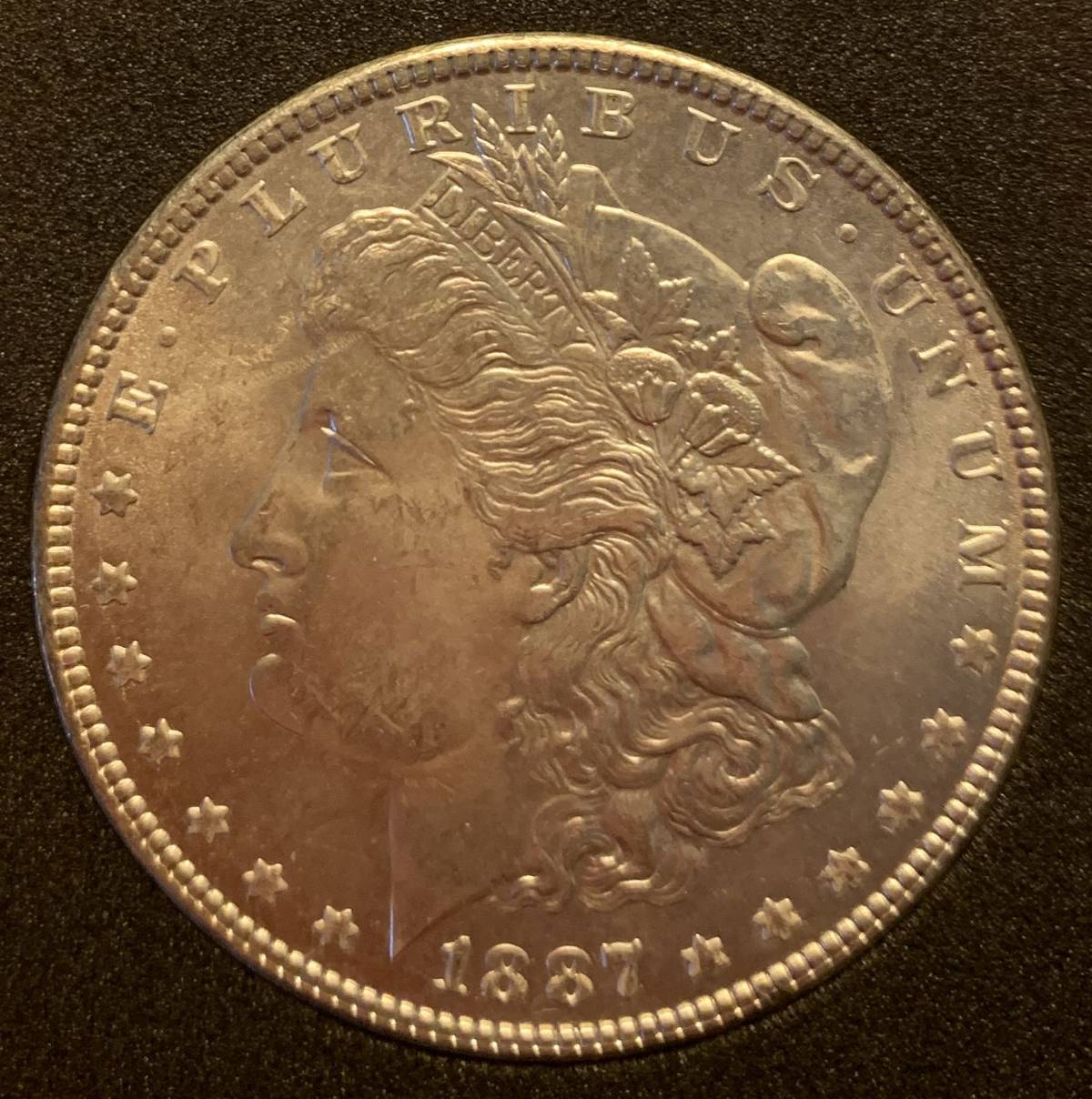 Grade-My-1887-P-Morgan-Dollar!
