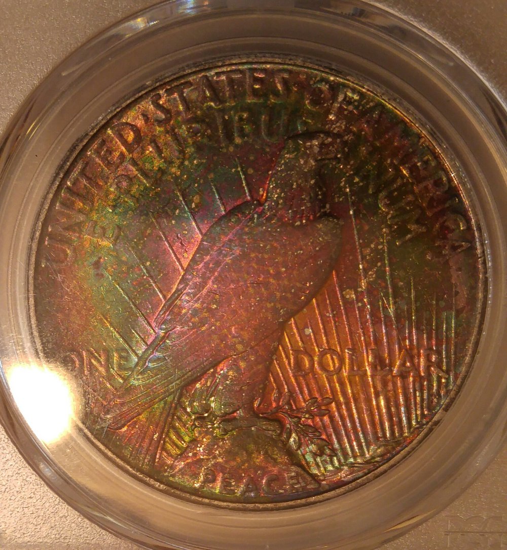 New-Toned-Peace-Dollar