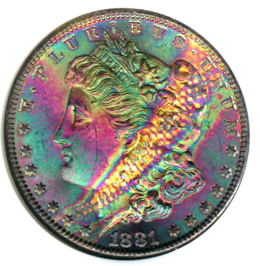 The-Most-Beautifully-Toned-Morgan-I-Have-Ever-Seen.