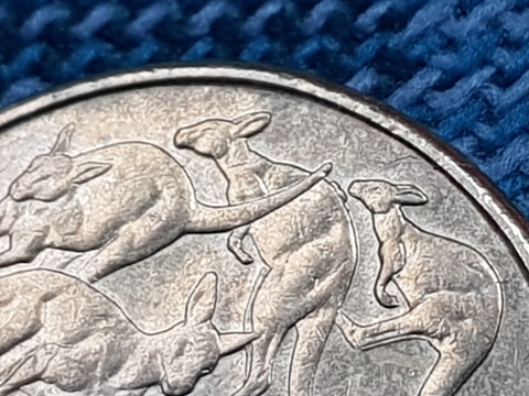 Noodling-Find-Of-The-Week?