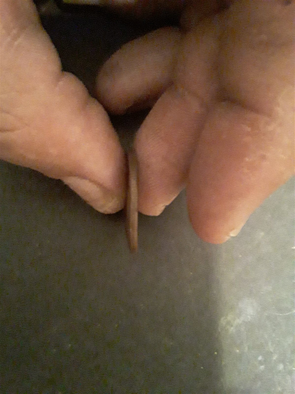 1986-Brown-P-Stamped-Quarter-Worth-Anything?