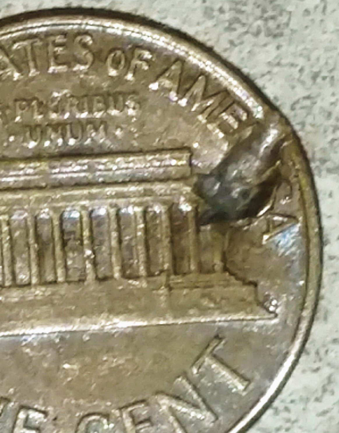 196?-Penny-.-Need-Help.-Don't-Know-If-Post-Mint-Damage.