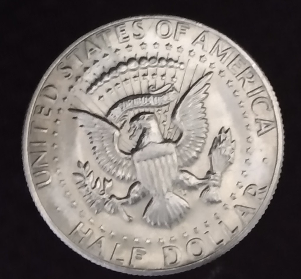 Are-These-1982-D-Half-Dollars-Worth-Getting-Graded?