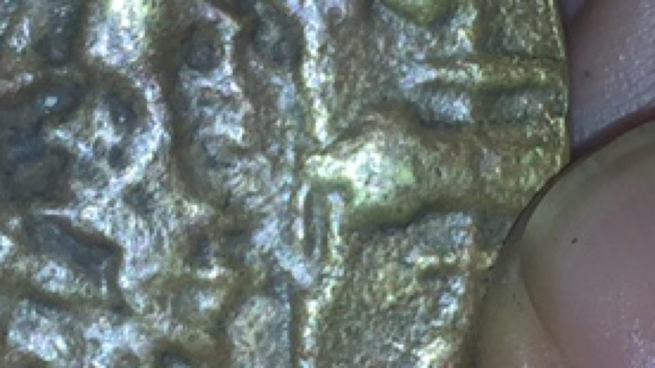 Identify-With-Me-The-True-Metal-Of-This-Coin!