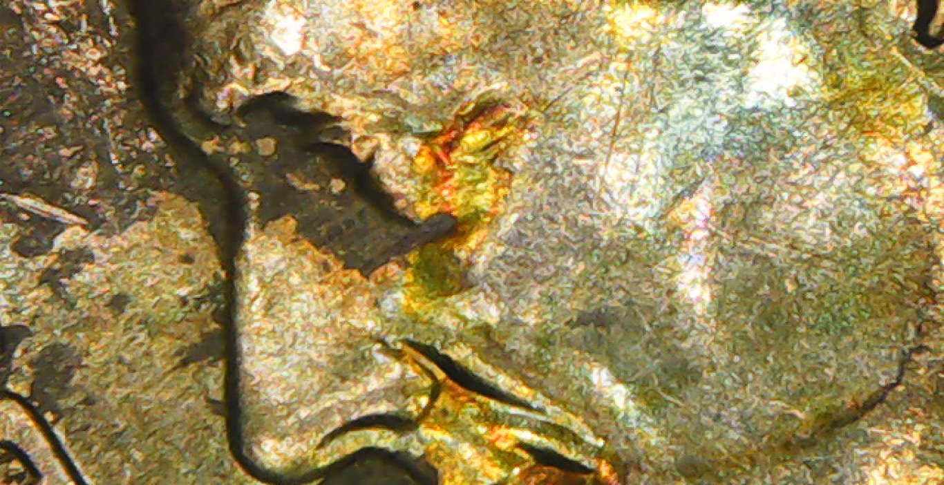 2002-P-Roosevelt-Dime-With-Plating-Issue?