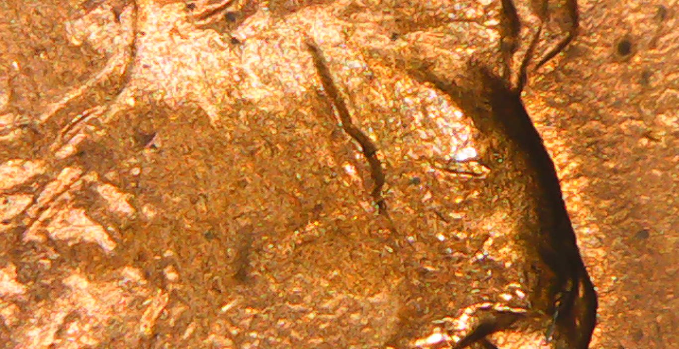 1994-D-Lincoln-Cracked-Skull?