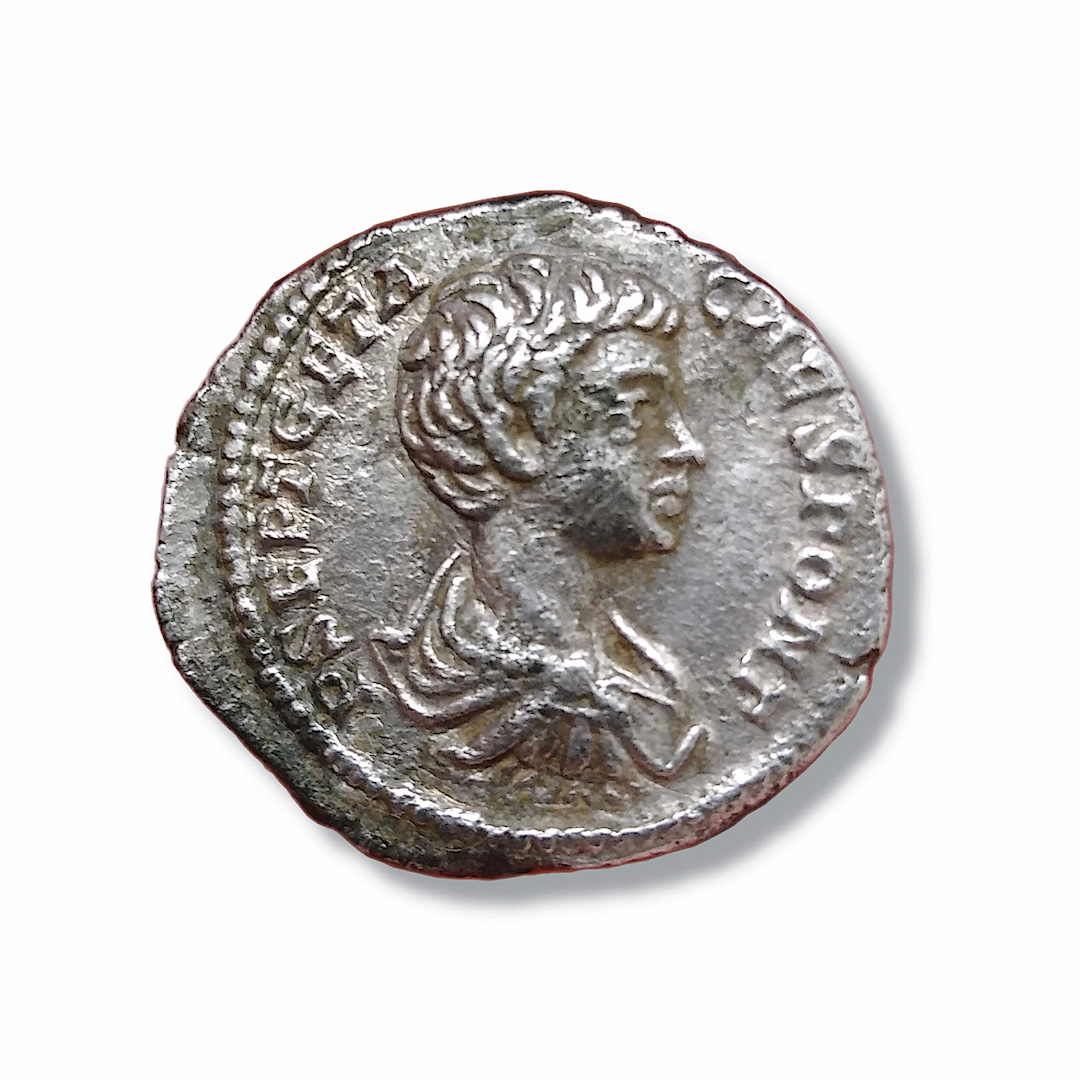 Geta-Denarius,-Authentic-Or-Not?