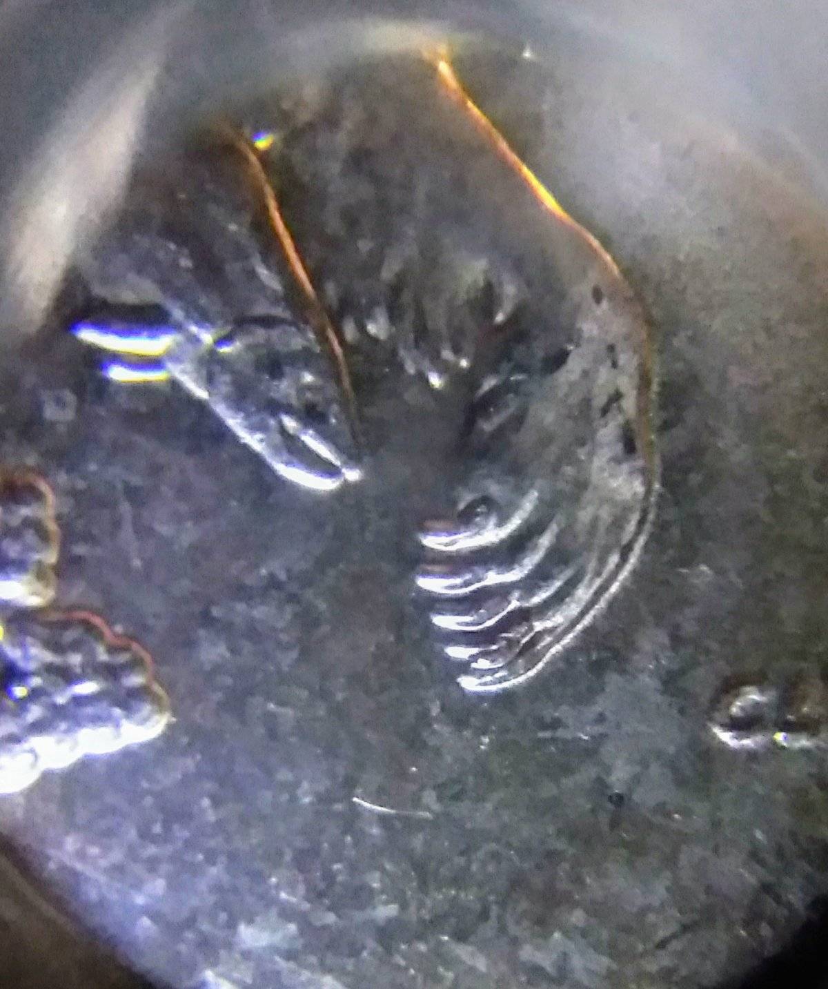 2008-P-Alaskan-Quarter-Six-Claw?